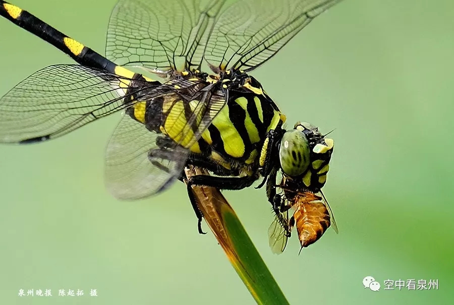 笋江公园改造即将完工,画风很美 笋江公园改造即将完工,画风很美