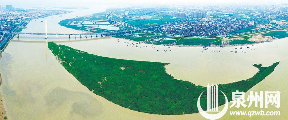 泉州晋江大桥旁的小芸洲,从左望去就像一条飞跃龙门的鲤鱼,从右看去也有人说它像一只飞舞的孔雀。 泉州晋江大桥旁的小芸洲,从左望去就像一条飞跃龙门的鲤鱼,从右看去也有人说它像一只飞舞的孔雀。