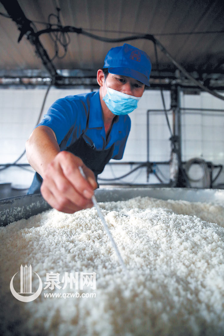 蒸熟的糯米要降温,工人不时测量温度,准备送到红酒发酵罐。 蒸熟的糯米要降温,工人不时测量温度,准备送到红酒发酵罐。