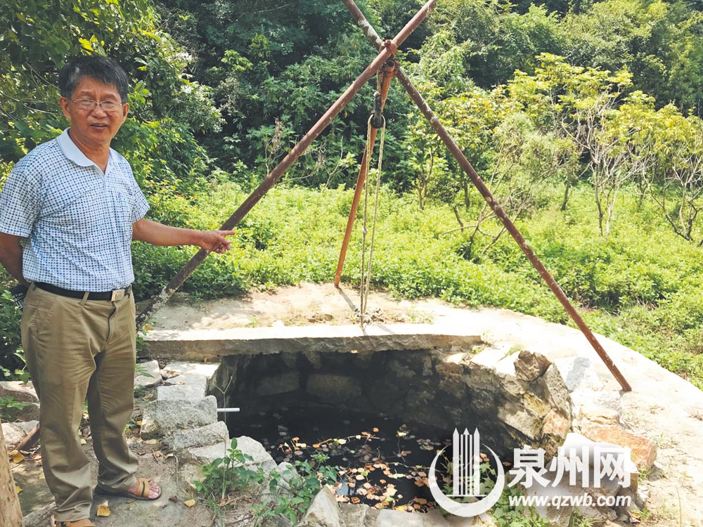 石井村菜井 石井村菜井