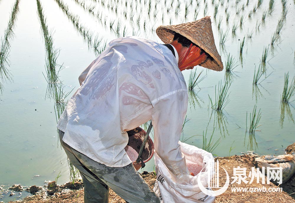 丰收的背后,饱含着农民辛劳的付出。 丰收的背后,饱含着农民辛劳的付出。