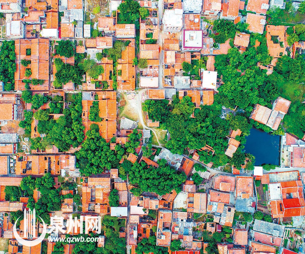 鸟瞰奎霞,浓浓的“泉州红”气息扑面而来。(黄哲聪 摄) 鸟瞰奎霞,浓浓的“泉州红”气息扑面而来。(黄哲聪 摄)