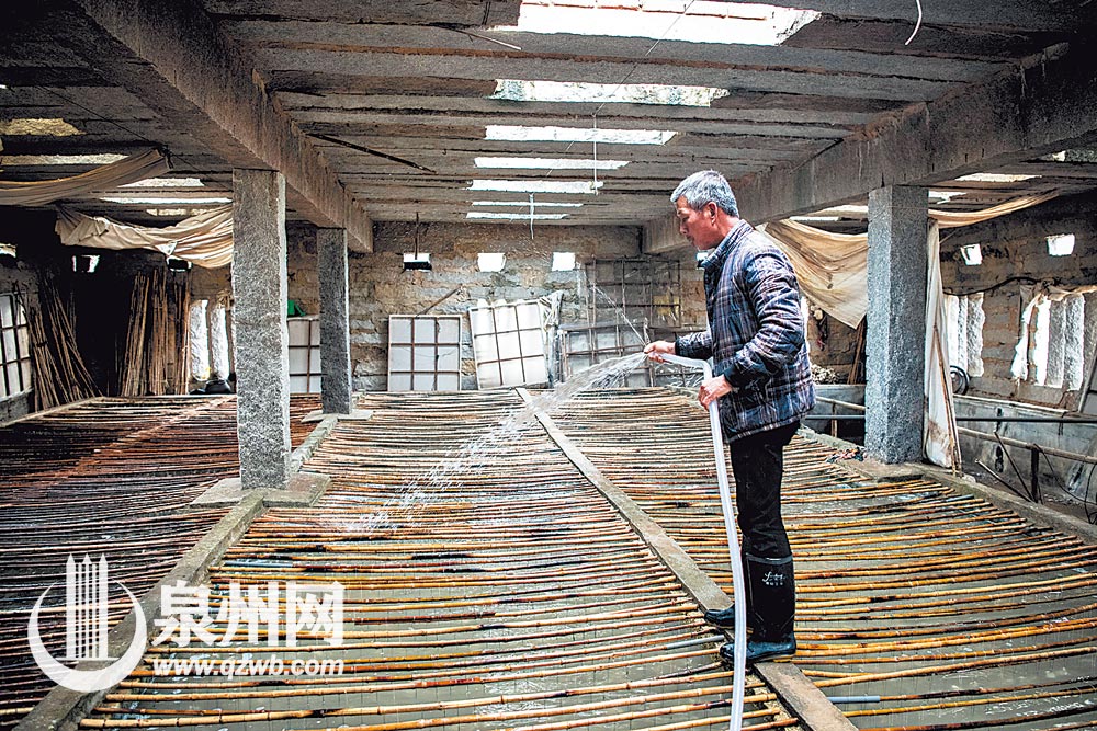 往挂好贝壳的育苗池注入带有紫菜孢子的水，孢子在贝壳上发育成菌苗。 