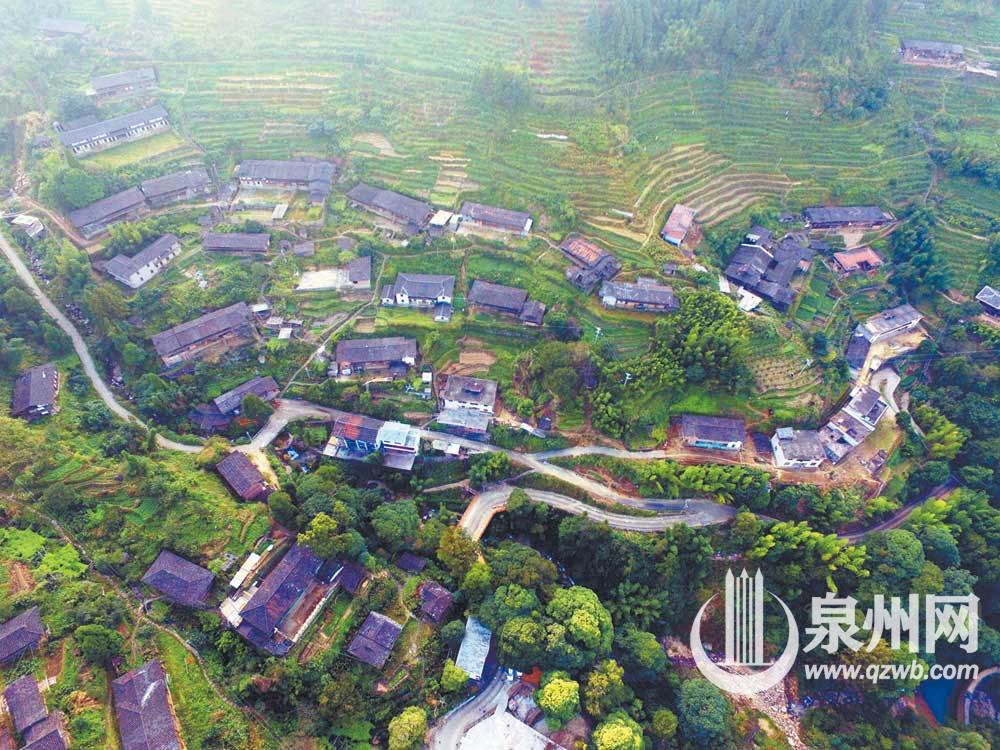 昔洪水过处 油茶又飘香 昔洪水过处 油茶又飘香