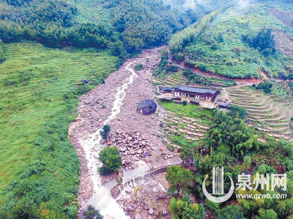 昔洪水过处 油茶又飘香 昔洪水过处 油茶又飘香