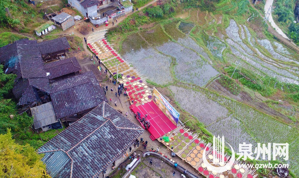 每年深秋，丁荣的银杏黄时，总能吸引来各地游客。