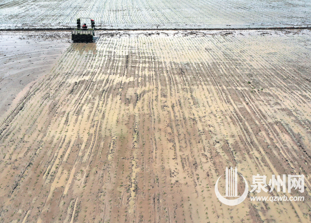 农业机械化唱响了春耕生产的“主旋律”