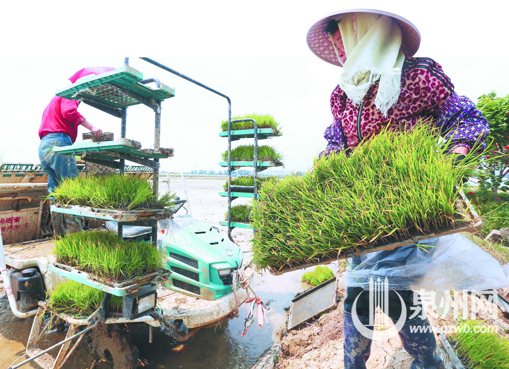 插秧机作业前的准备