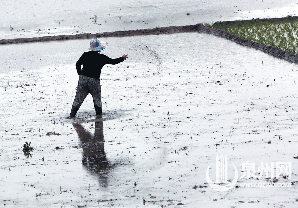 眼下的田间地头，到处是农户忙碌身影。
