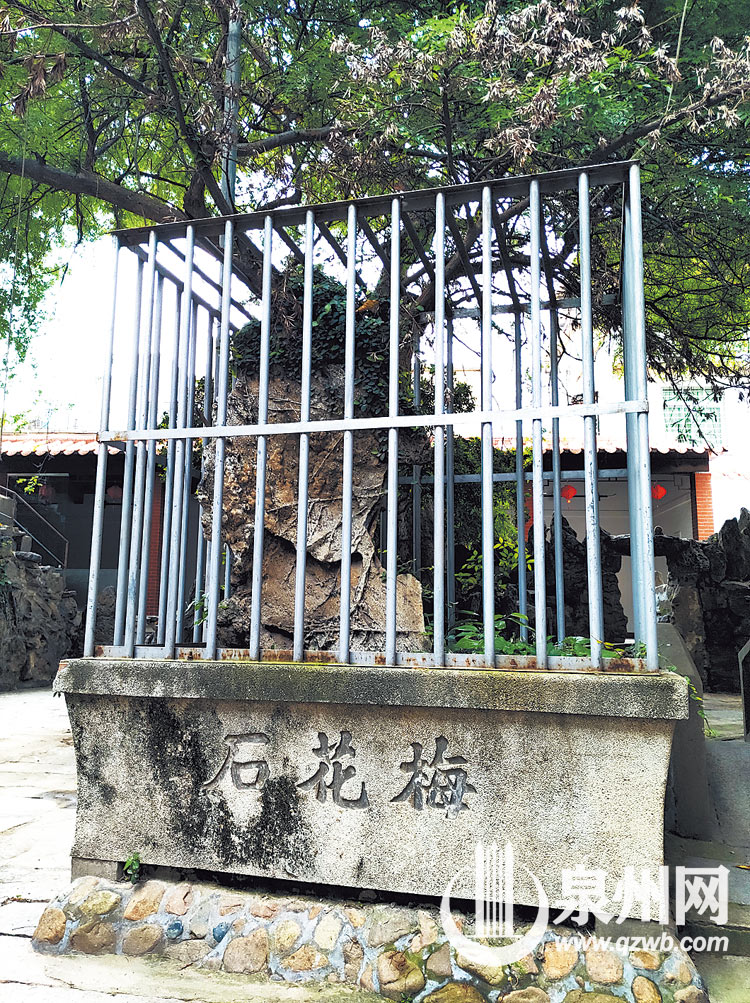 梅花石相传能预报风雨阴晴