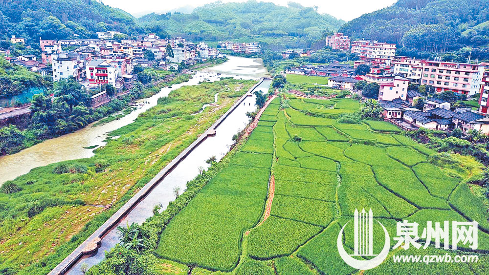 近年来，泉州市持续开展农村人居环境综合整治，遵循乡村发展规律，凸显村庄秩序与山水格局、自然环境的融合协调，加快推进乡村振兴战略。