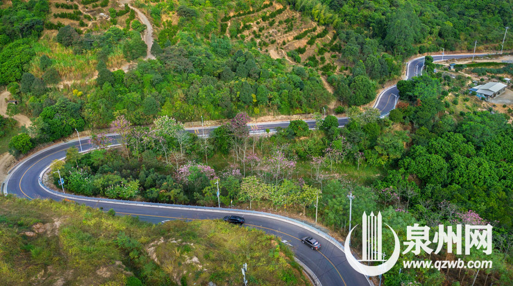 永春县岵山镇通往北溪村、文溪村的乡村公路和文溪大桥 永春县岵山镇通往北溪村、文溪村的乡村公路和文溪大桥
