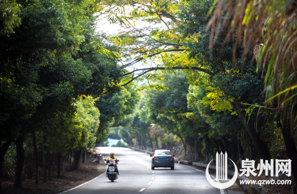 通往永春县呈祥乡的乡村公路 通往永春县呈祥乡的乡村公路