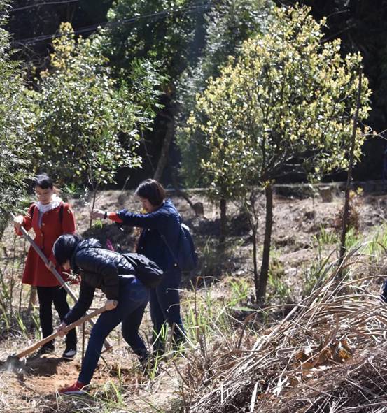 微信图片_20180311175424