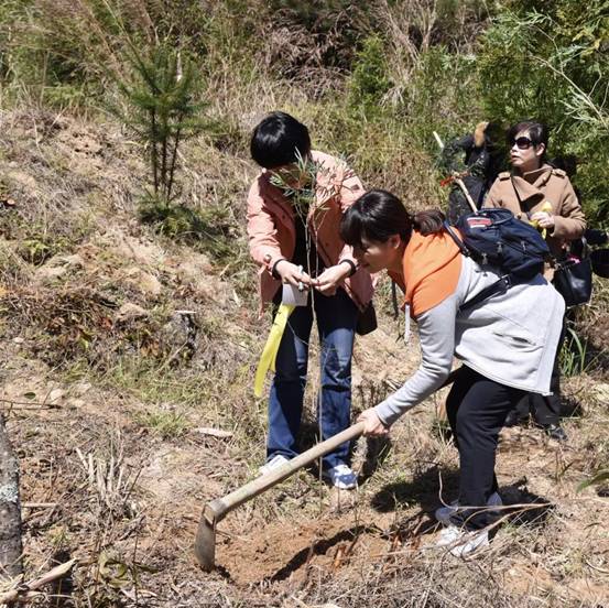 微信图片_20180311175427