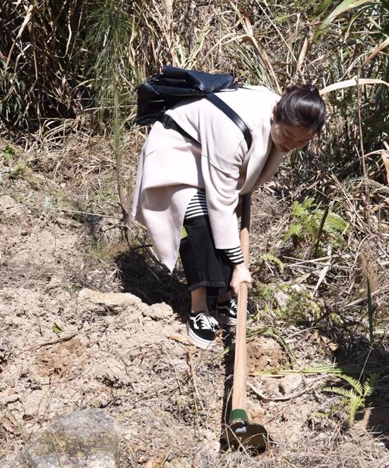 微信图片_20180311175435