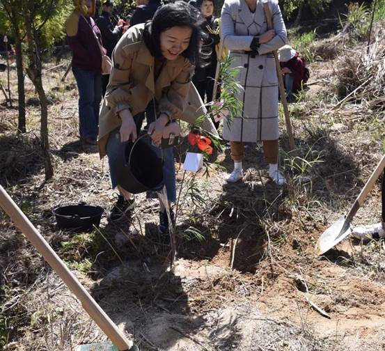 微信图片_20180311175444