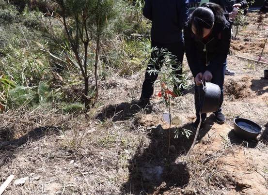 微信图片_20180311175452