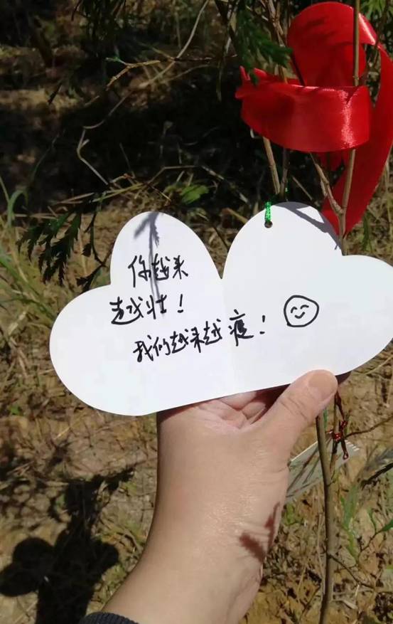 微信图片_20180311175507