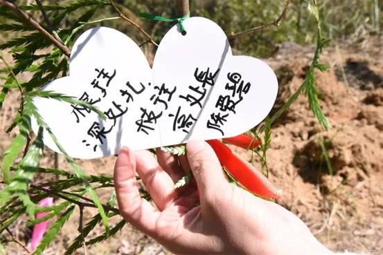 微信图片_20180311175510