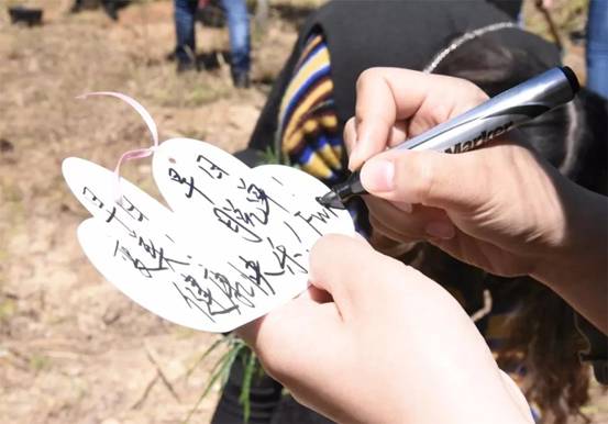 微信图片_20180311175513