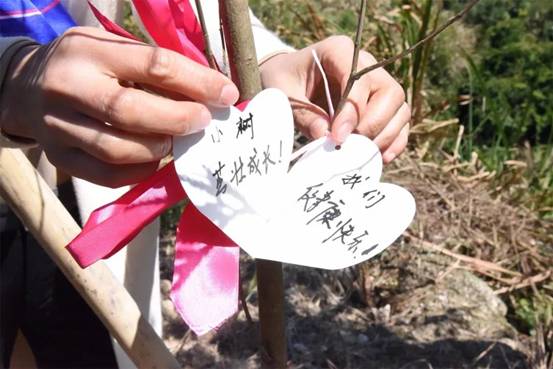 微信图片_20180311175516