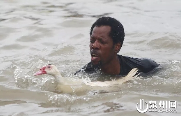今天泉州数万人围观海上这一幕！大量高清图片刷屏……