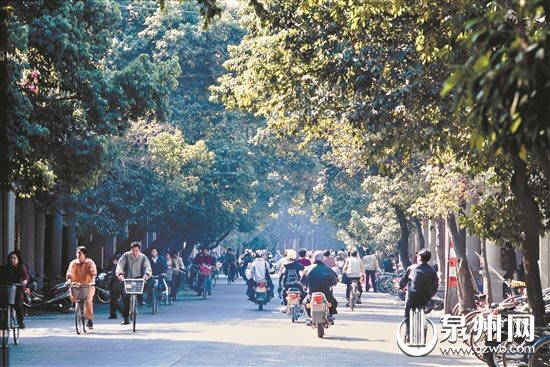 上世纪九十年代末,中山路一景。 上世纪九十年代末,中山路一景。