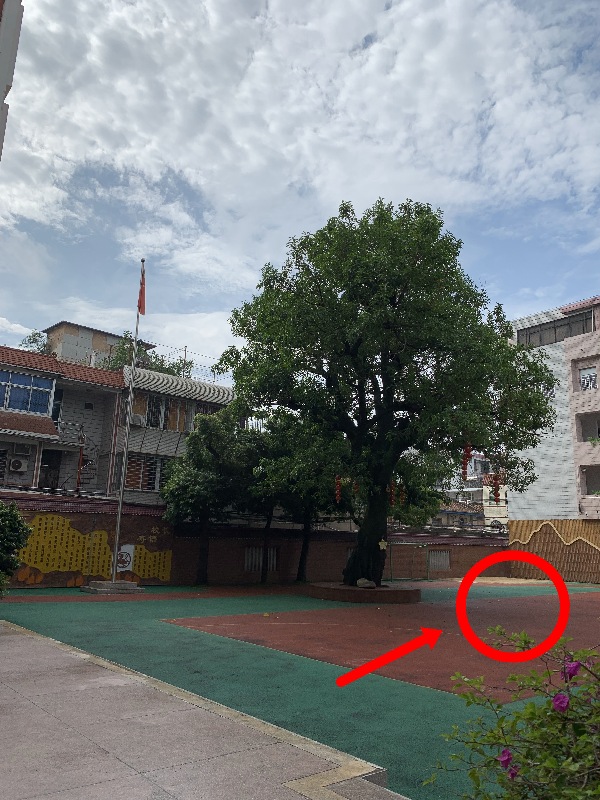 通政小学操场,据说以前水井在图上红色圈圈那里.