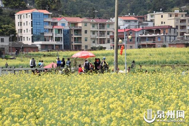 洛江虹山油菜花吸引了不少游客前来踏青