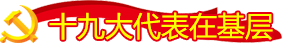 十九大代表在基层